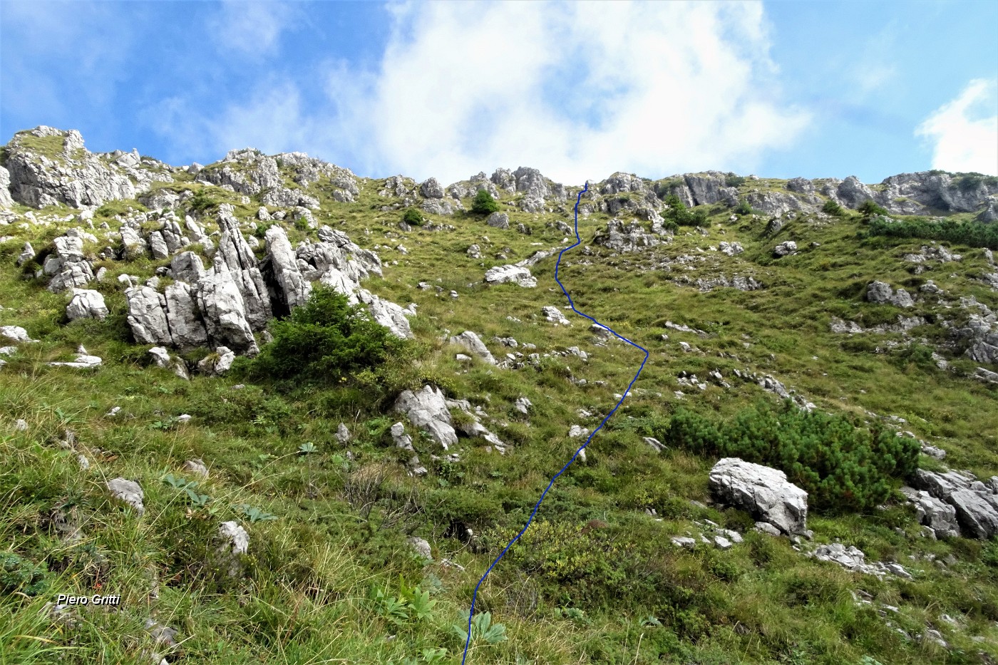 63 Percorso a vista verso la vetta del Venturosa su ripidi pratoni e facili roccette.JPG -                                